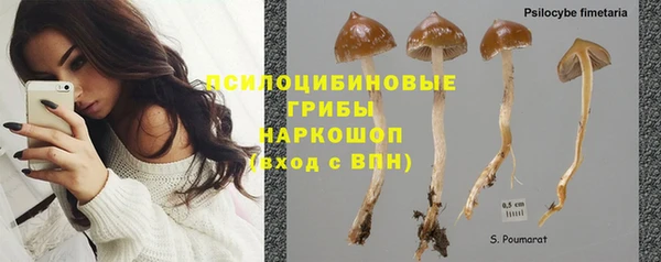 соль курить ск Алексеевка