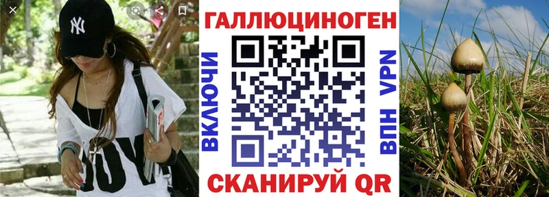 Псилоцибиновые грибы ЛСД  купить  цена  Кочубеевское 